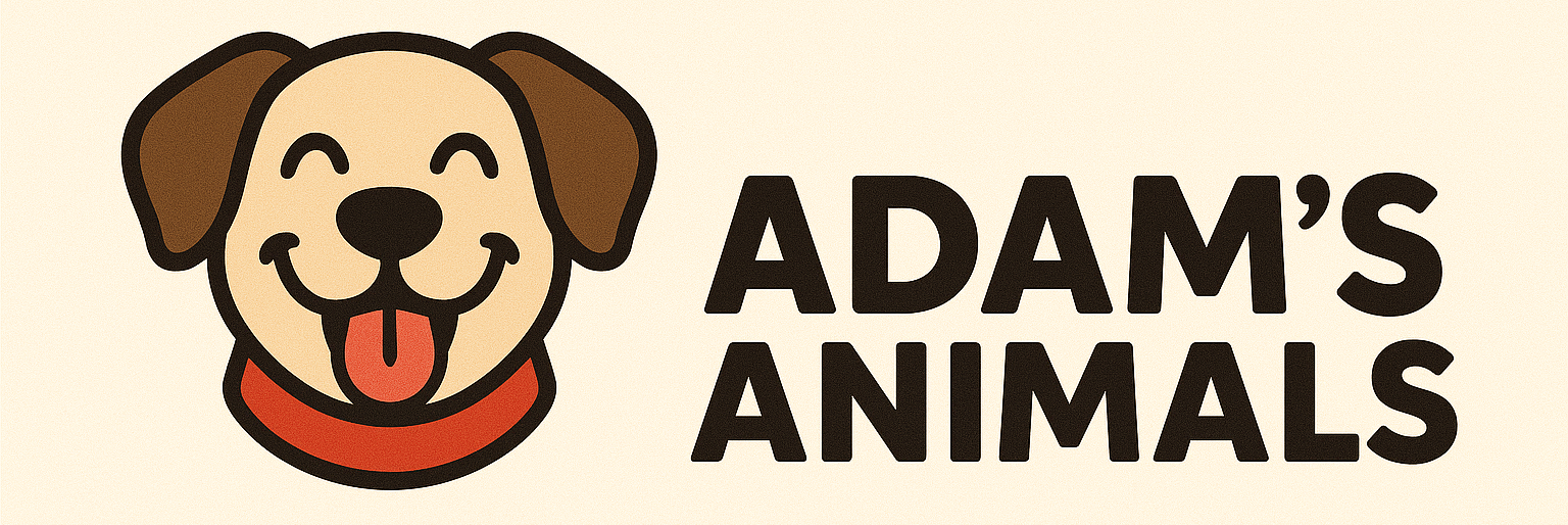Adam's Animals - Logo with happy dog face and red collar